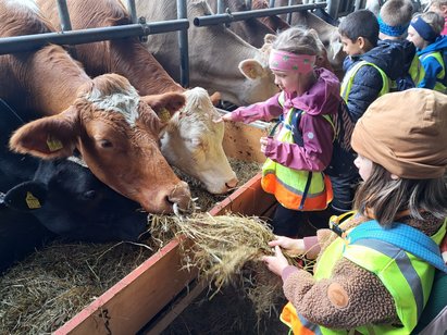 Besuch_auf_dem_Bauernhof_KaSa2