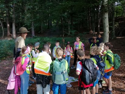 Fotos S. Sonderegger