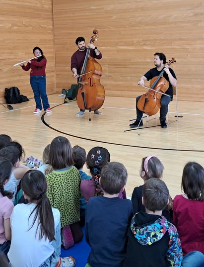Instrumentenvorstellung_Cello__Kontrabass__Querfloete
